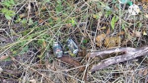 ДЕНЬГИ ИЗ ХЛАМА! Сколько можно заработать собирая алюминиевые банки?