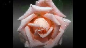 Музыка дождя.