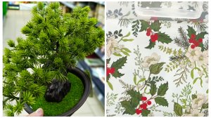 💜🎄ФИКС ПРАЙС☕☃️ОБЗОР ПОЛОЧЕК💚#сезонконтентаRUTUBE