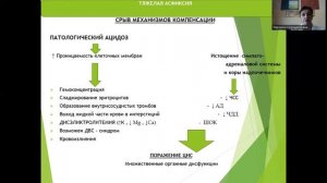 Перинатальная асфиксия  Гипоксия плода  Асфиксия новорожденных