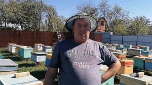 Пчёлы устойчивые к варроатозу