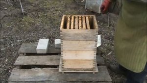 Видео №53. Альпийский улей. Первая весенняя работа на пасеке. 06.03.2020 г.