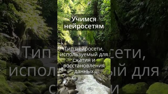 Терминология нейросетей - Autoencoder #taus #нейросеть #ai #autoencoder