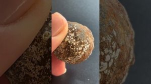 Поиск камней на речке. Невероятно красивые агаты! Распил халцедона, и новые открытия в кремне.