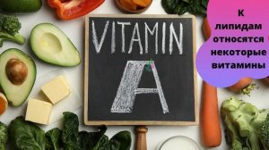 Липиды Жиры