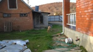 ВЛОГ // ЖДЁМ ПОЖАРНЫХ // СКОРО ЗИМА, А У НАС ТРАВА // ПОВЕСИЛА ГИРЛЯНДУ