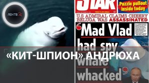 Британский канал признал в "русском ките-шпионе" Хвалдимире белуху Андрюху с базы под Мурманском