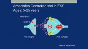 Targeted Treatments in Fragile X and Autism