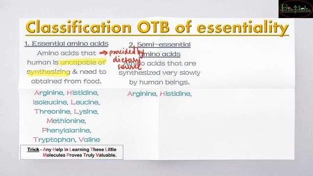 Biomolecules (Class 11)