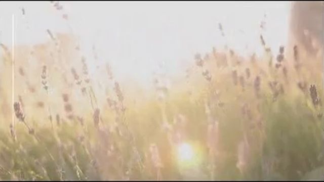 Ужасы на ночь 😱 Рассказ "Логово красного лифта" смотреть онлайн