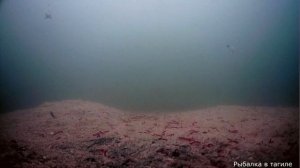 Сравнение камер под водой Экшн-камера SJCAM 5000X VS sony imx225