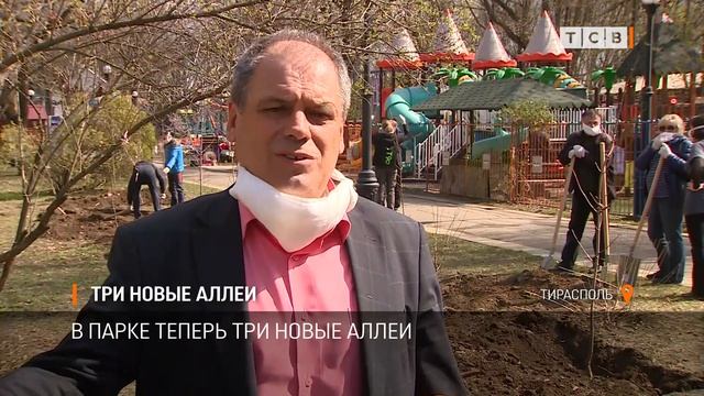 Три новые аллеи