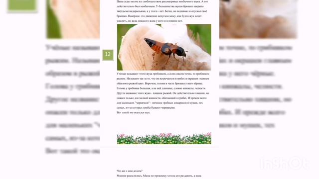 Случай с жуком-грибником. Великан на поляне. Окружающий мир #1класс #начальнаяшкола