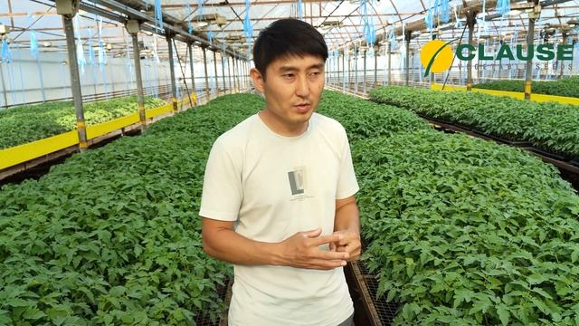 Какой гибрид выбрать на летне осенний период!