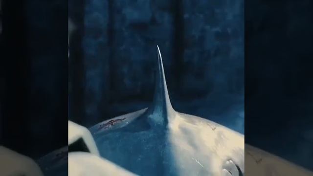 #kingshark #suicidesquad #dc