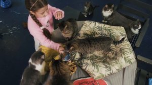 Кто ты - Эвелина Радбиль - официальный клип