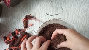 Размножение пионов слепыми корнями, часть 3