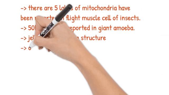 Mitochondria | Power house of the cell | смотреть онлайн