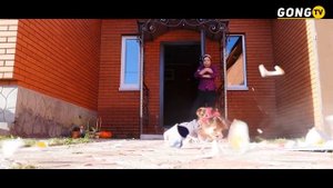 Эльвира Хамматова & Алина Сафиуллина - Килендәш ике килен