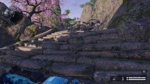 Восход профи — 1-й стелс за СЭДа