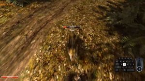 Боевая система Готики 2 || ЧАСТЬ 4: ПАДАЛЬЩИК, ВОЛК, ПОЛЕВОЙ ХИЩНИК ⚔️