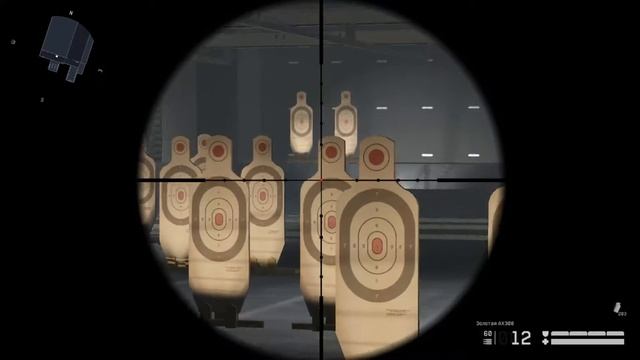 Warface:AX-308 Золотая версия и обычная в чем отличия ?