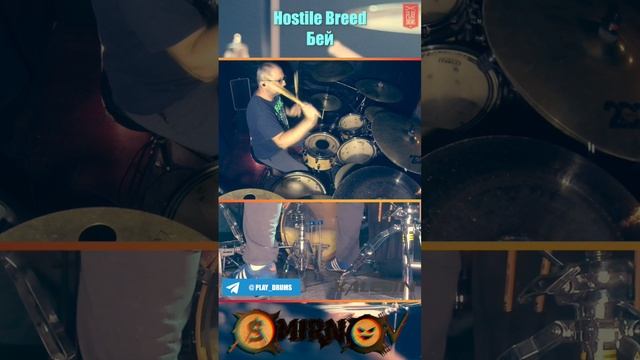 Double Bass Groove (HOSTILE BREED - Бей)