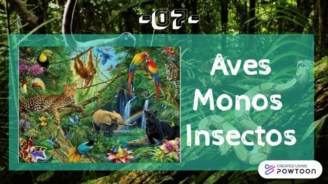 SELVA TROPICAL 2 смотреть онлайн