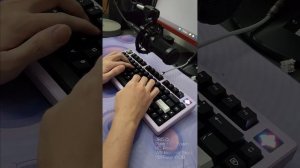 WS Morandi by Wuque Studio Switch Series ft. JRIS75 Sound Test