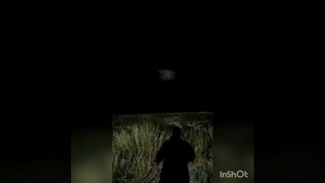 yeh shaam mastani | Rozi port | Jamnagar смотреть онлайн