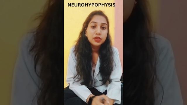 Pituitary Gland (Video-1)
