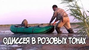 Записки Сибирского Натуралиста 4 сезон, 8 серия. Одиссея в розовых тонах.