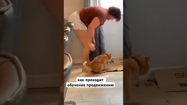 все равно научу #продвижениевсоцсетях #личныйбренд #маркетинг #эксперт