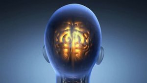 Альфа  волны исцеляют повреждение в организме, массаж мозга во время спины, улучшайте память