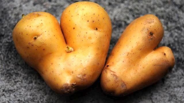 Современные песни . Нереально завораживающая песня....