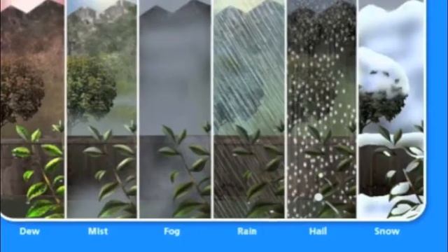 The Water Cycle смотреть онлайн