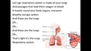 Respiratory System Song by Mr.Parr