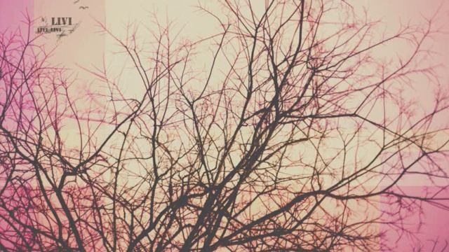 Swan song смотреть онлайн