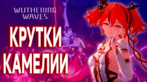 КРУТКИ КАМЕЛИИ 1.4 Wuthering Waves | Camellya