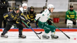 «Gripen BK»-«Hammarby IF» 13 Nov Elitserien 2024-25