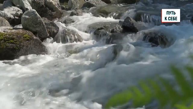 Почему современное человечество глупеет?  Или это общество потребителей?