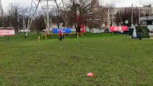 Соревнования ОКД+ ЗКС Лютый из Команды Азарт 96 баллов