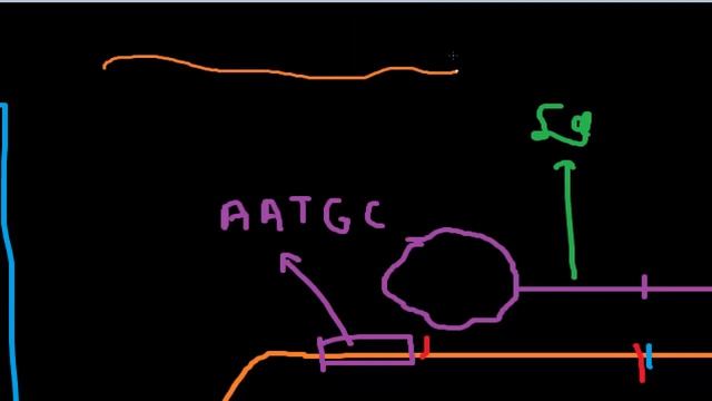 Генска експресија | Генетика смотреть онлайн