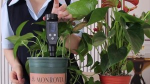 YY-1033 Bluetooth Soil PH Meter--A perfect Tool to Improve Your Plant Surviving and Yield