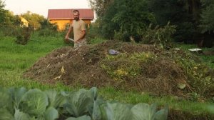 САМОЕ БЮДЖЕТНОЕ УДОБРЕНИЕ. Приготовление горячего и классического компоста.