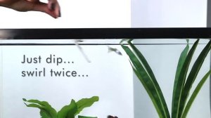 API 5-IN-1 TEST STRIPS | How to use aquarium test strips