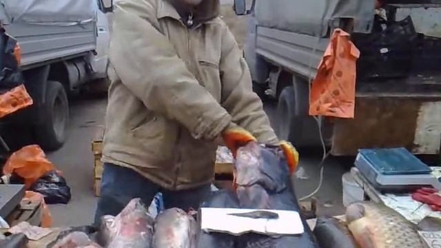 191120111507сомик алегория рынка кутум смотреть онлайн