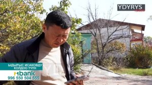 Бузук трактордой бозоргон пансионат / Ысык-Көл / Ыдырыс Исаков