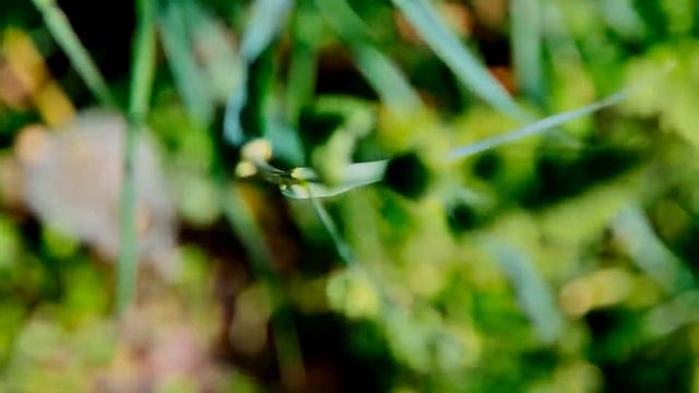 🍁🍁🍁 Yaadein Yaad Aati Hain 🍁🍁🍁 Yaadein (2001) 🍁🍁🍁 Cover Version 🍁🍁🍁 смотреть онлайн