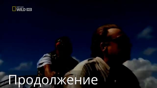 История самых опасных змей смотреть онлайн